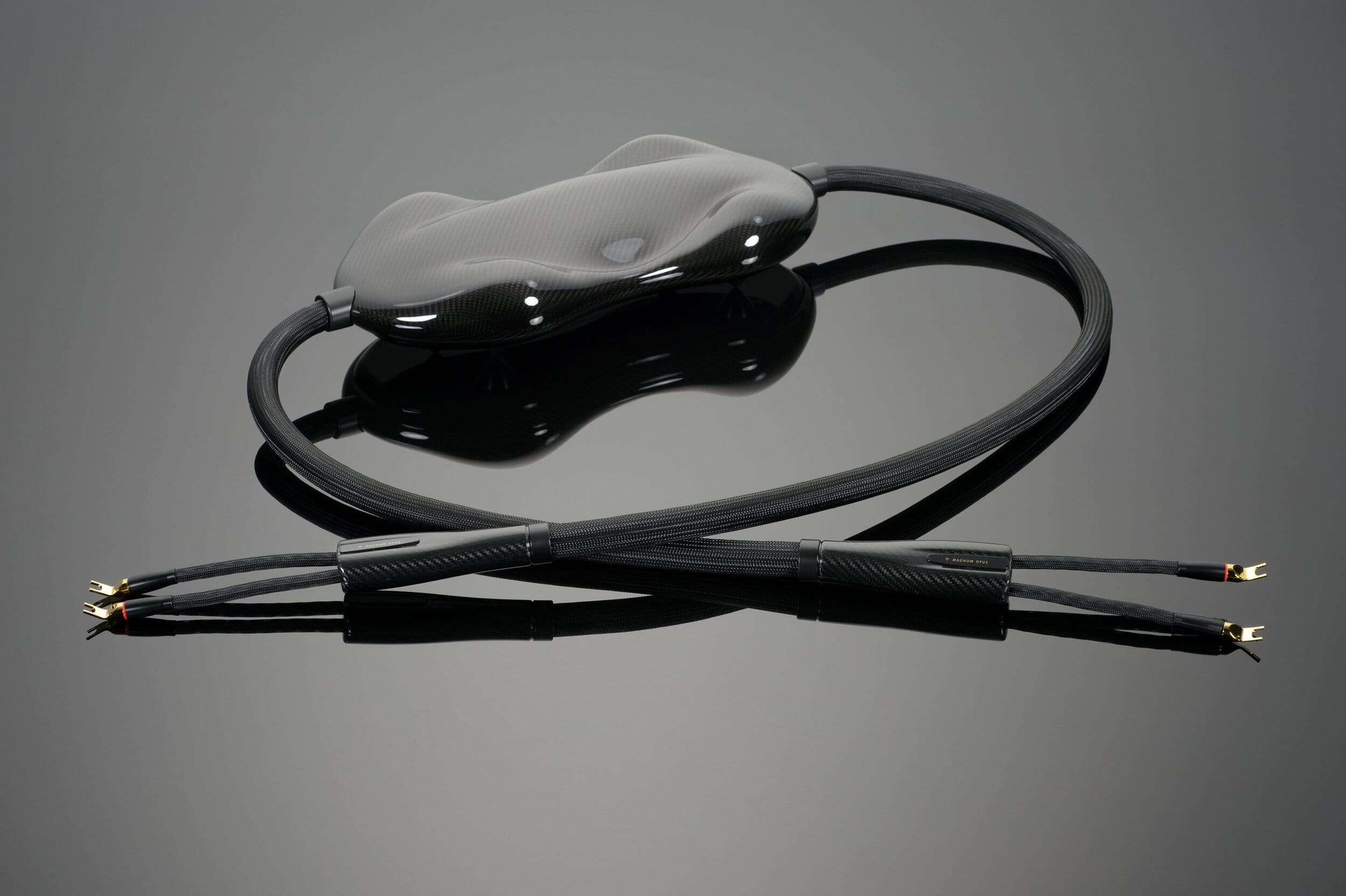 Transparent Magnum Opus Speaker Cable G6